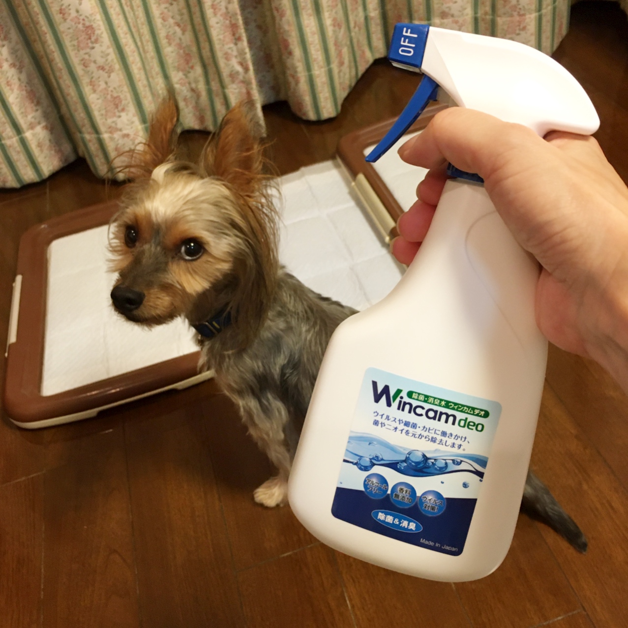 ペットがいても安心して使える除菌・消臭水『ウィンカムデオ』